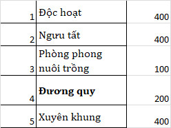 ducbinhyb07