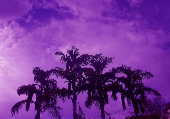 jxsttcxtri666