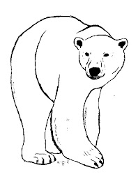 polarprocess