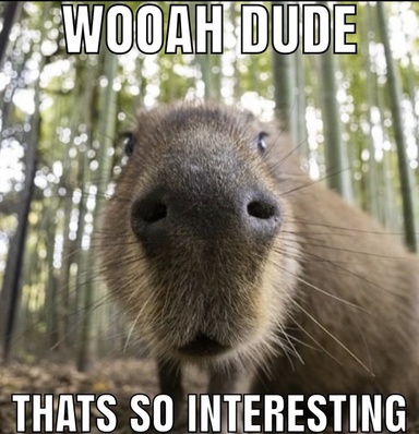 awooga69