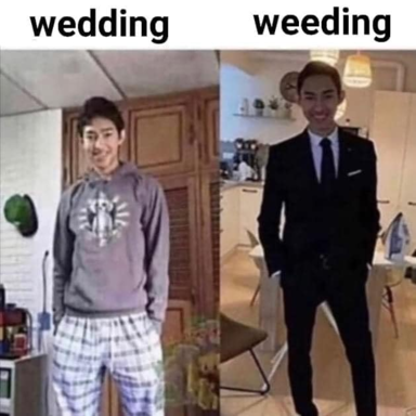 essonator