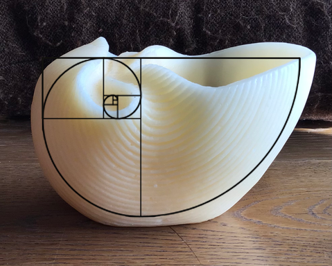 palomita222