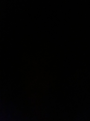 snjfkkvmdnsx