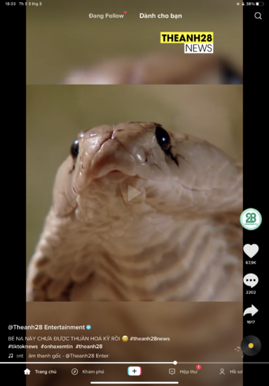 vuidz123