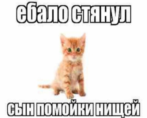 loofykov