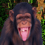 babajaga7824