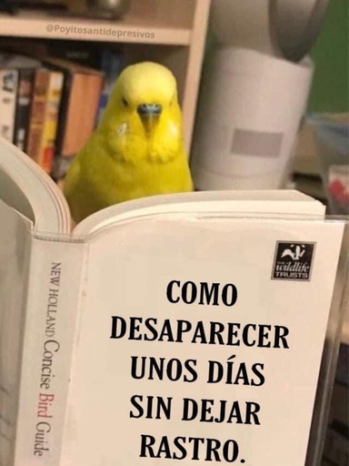 1maquina