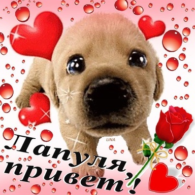 MAKANNNNNN