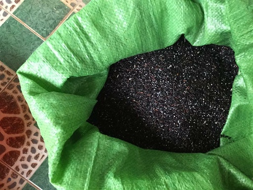 bap110647