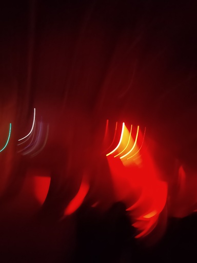sauvagec8