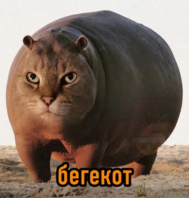 Xronometr
