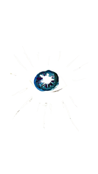 azidn88