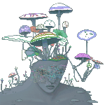 Funct10n