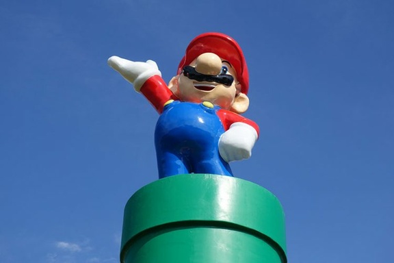 Taro
