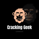 CrackingGeek