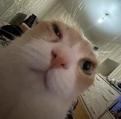 acatnamedtoxic