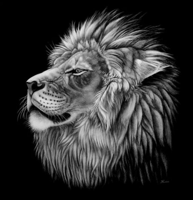 aslan78