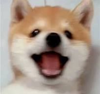 kachikachi