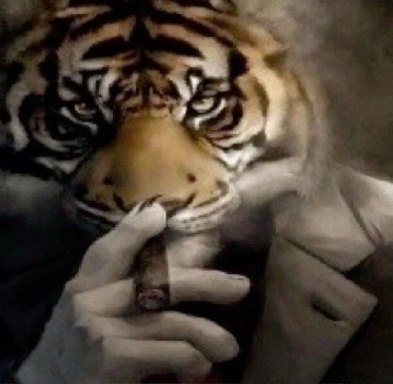 zwmid