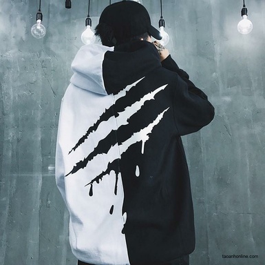 nvk24