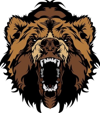 grizzlyccs