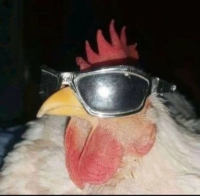 ZERO ali