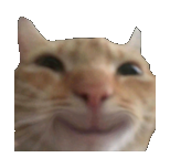 Tekish
