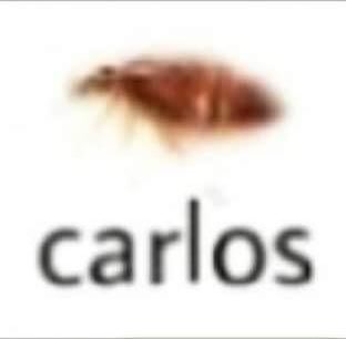 asdasdasdfghgf