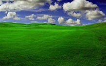 bilalsimmo4243