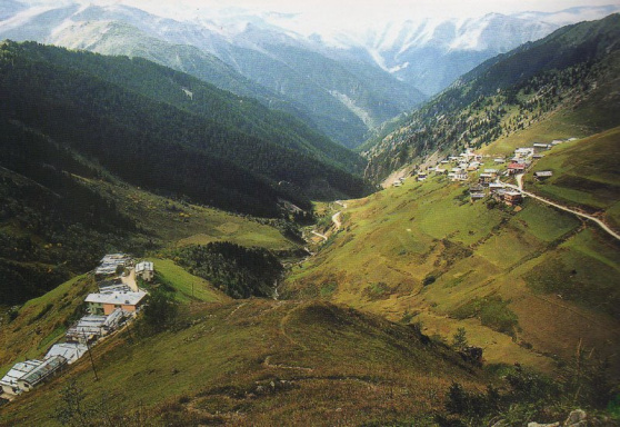 rozalina