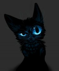 devilzlt