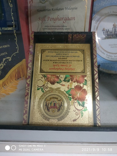 Hanglei67