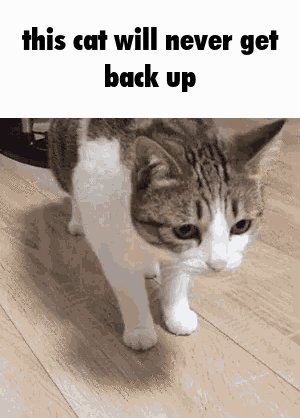 ggvick