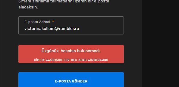 ahmetin31