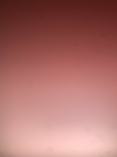 Gigglezgonwild
