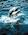 FLIPPER