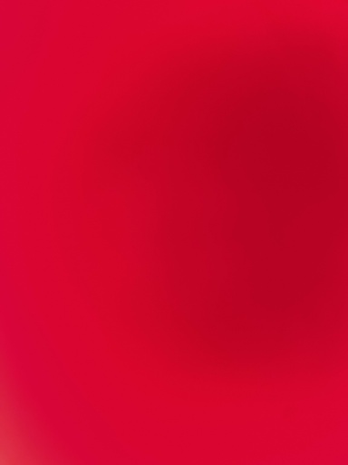 XxanonxX333