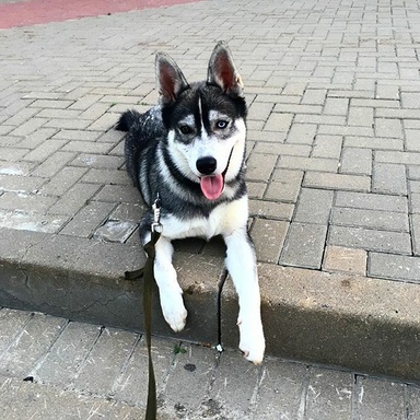 MaxKratoss