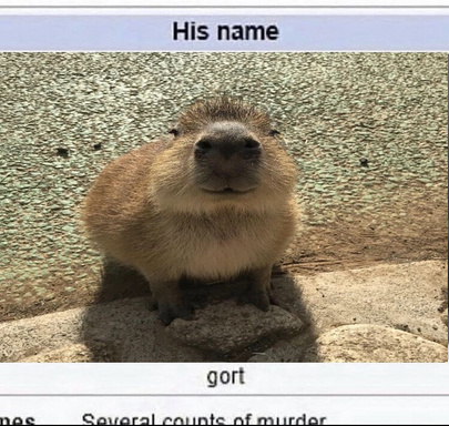 GilbertPlays455