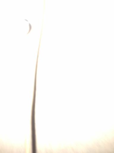 SmOkEmAn024