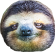 Niffer