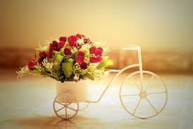 Aboudi789