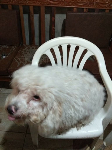 Luisp02