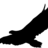 ftghsfghfsg