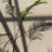 aa32233aa