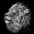 aslan78