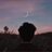 Lyvqnlong06