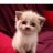 robimayne50